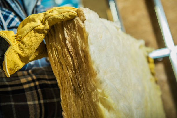 Best Insulation Maintenance and Repair in Dupont, PA